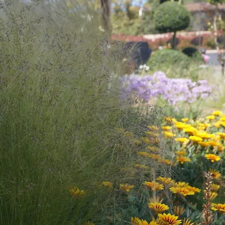 Les Jardins De Santa Giulia - Charmante D'hote * 포르토베쉬오
