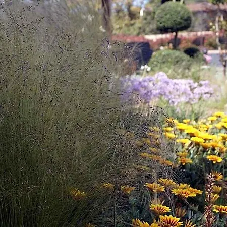 Les Jardins De Santa Giulia - Charmante D'hôte 3* Porto-Vecchio (Corsica)